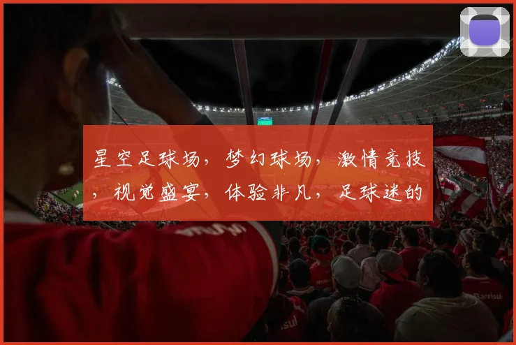星空足球场，梦幻球场，激情竞技，视觉盛宴，体验非凡，足球迷的圣地
