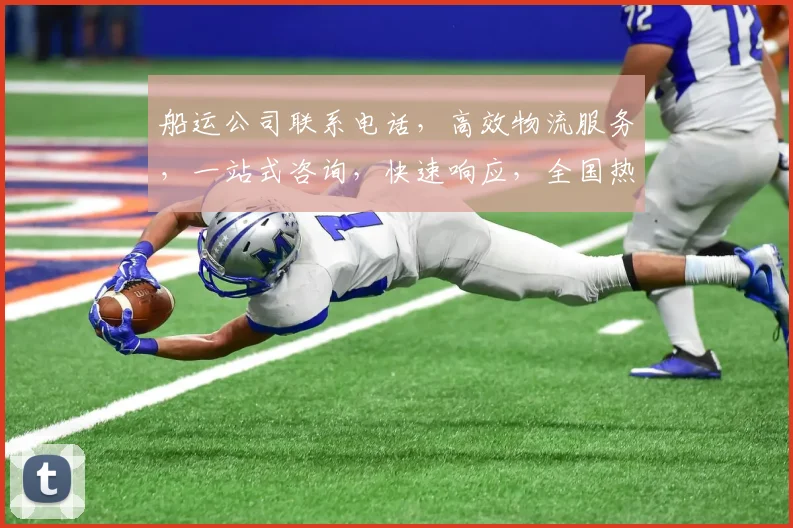 船运公司联系电话，高效物流服务，一站式咨询，快速响应，全国热线三网通